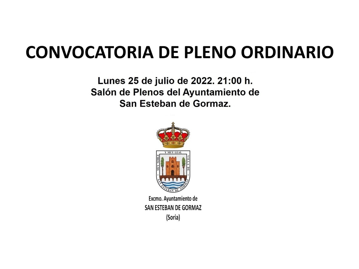 Pleno Ordinario: 25 de julio