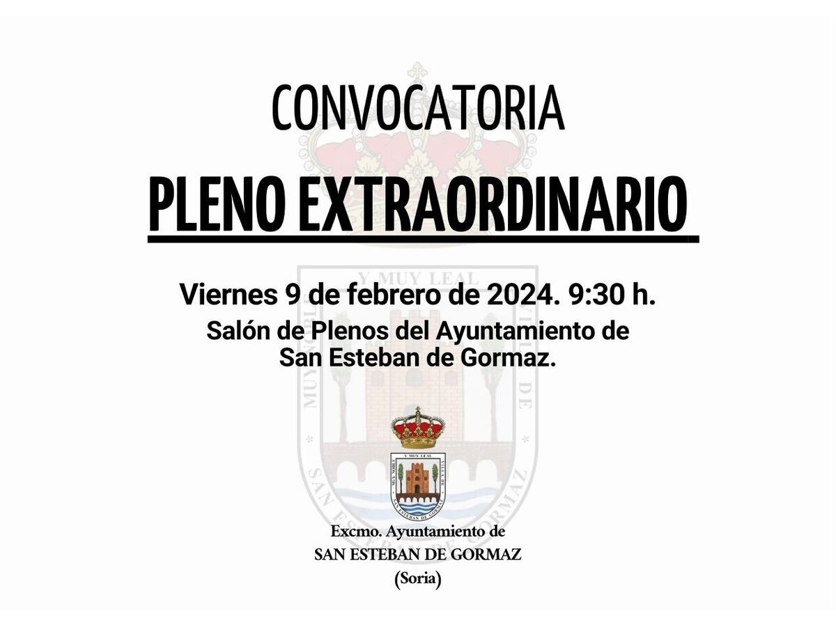 Pleno extraordinario: 9 de febrero