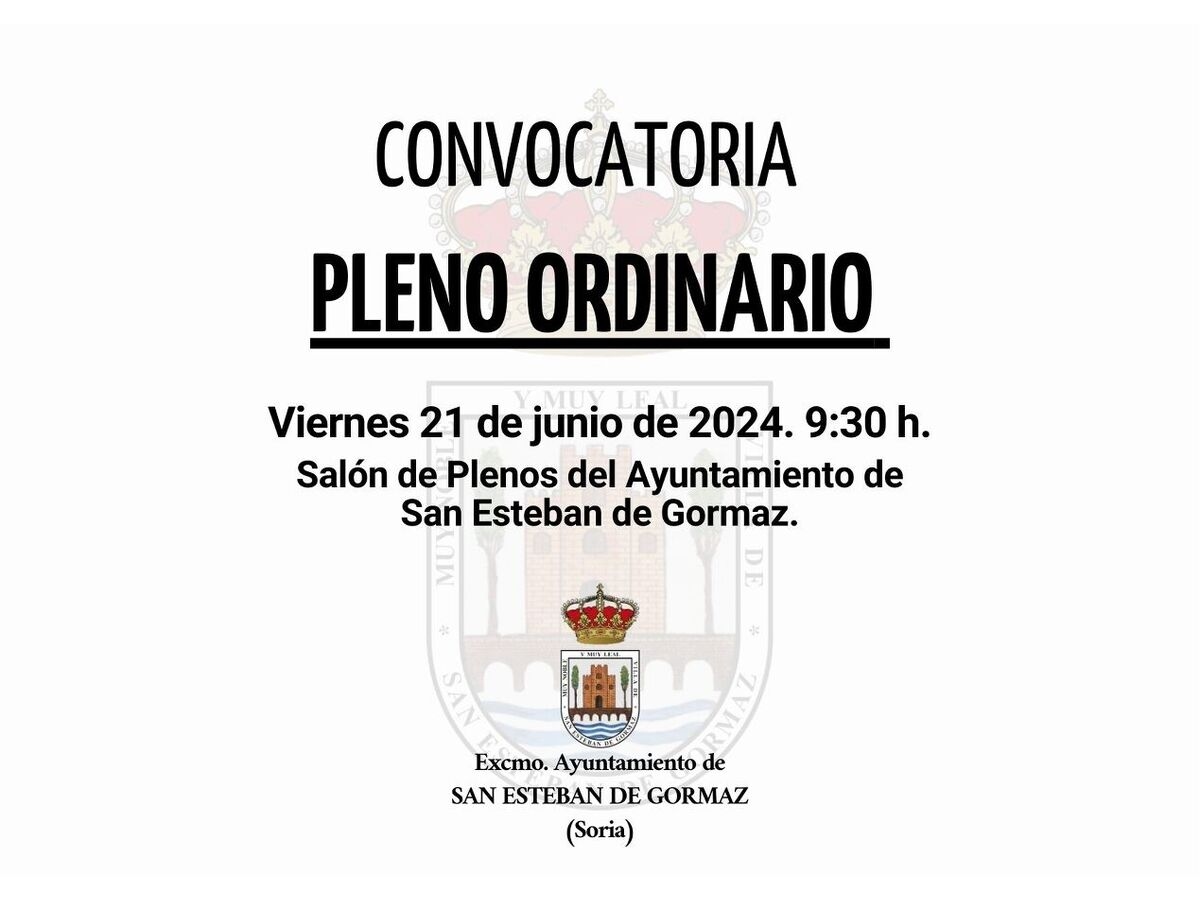 Pleno ordinario: 21 de junio