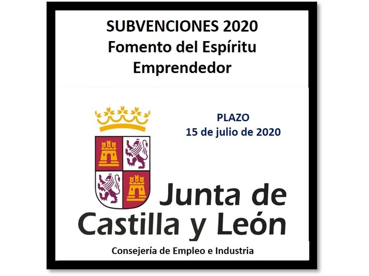 Subvenciones fomento del espíritu emprendedor